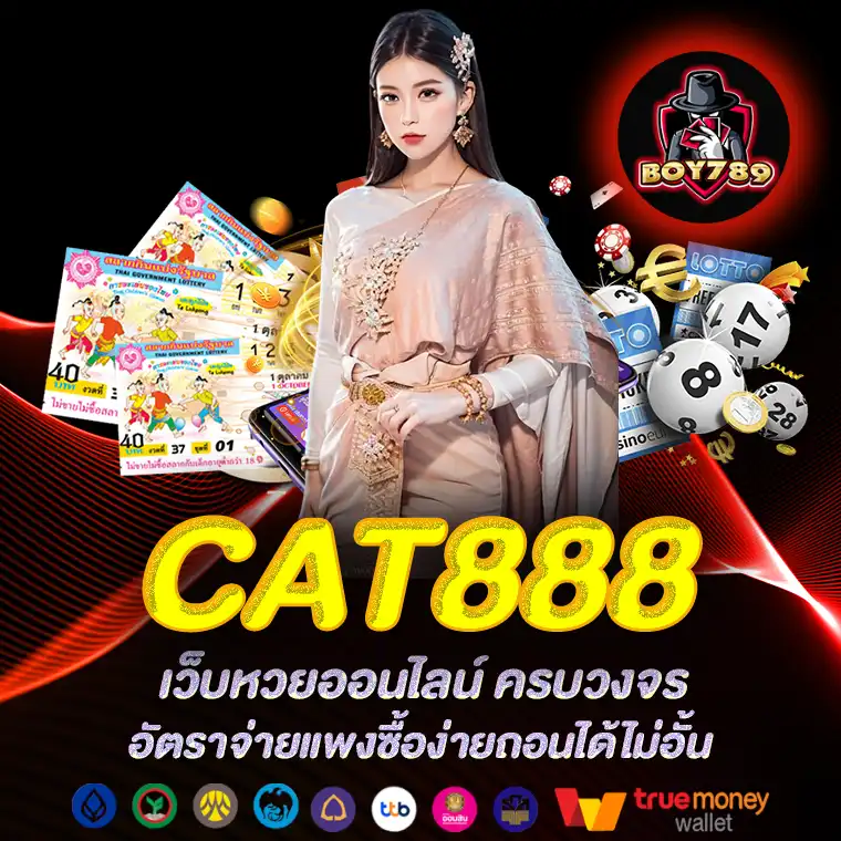 cat888